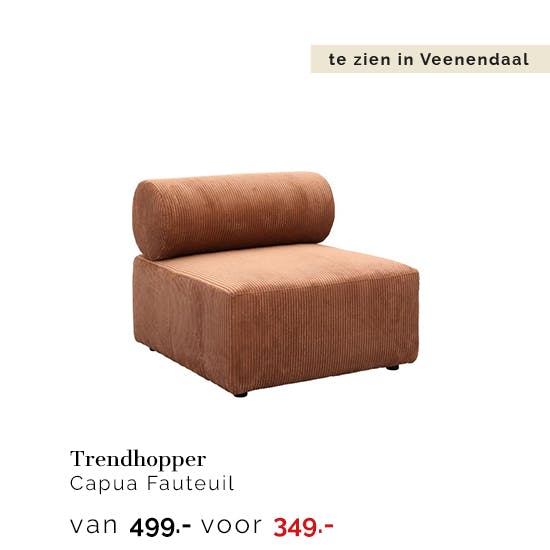 1699525V Trendhopper Capua Fauteuil