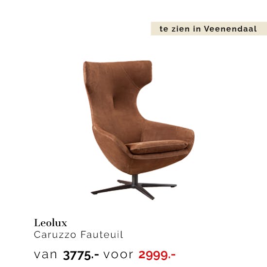 1684326V-Leolux-Caruzzo-Fauteuil